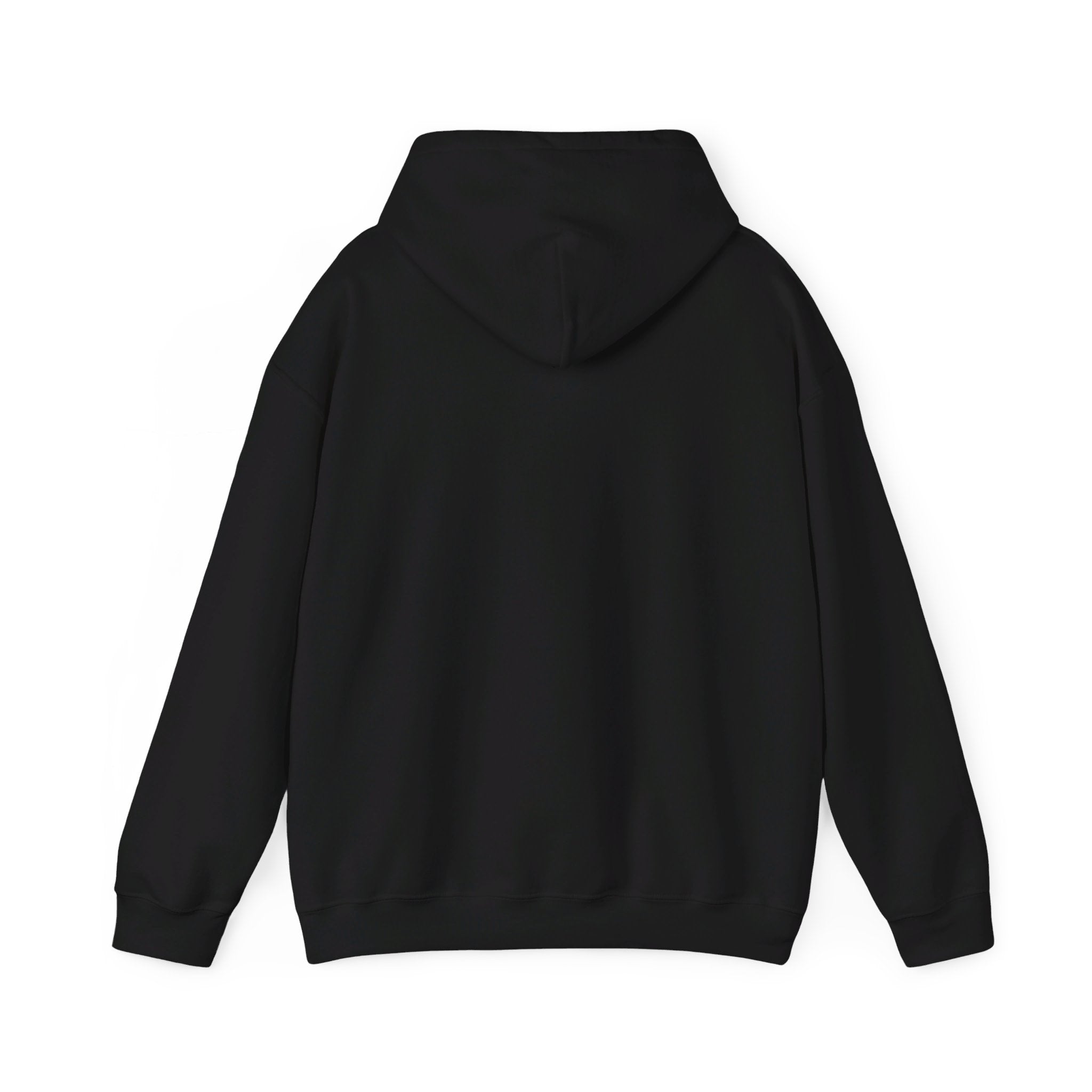 This is the Black Emotionless Heavy Blend Hoodie by Lee Hansheng Studios. This is the image of the hoodie from the back with the hood down. There is no illustration but there is hemming on the waists and hoodie. The image is against a white background.