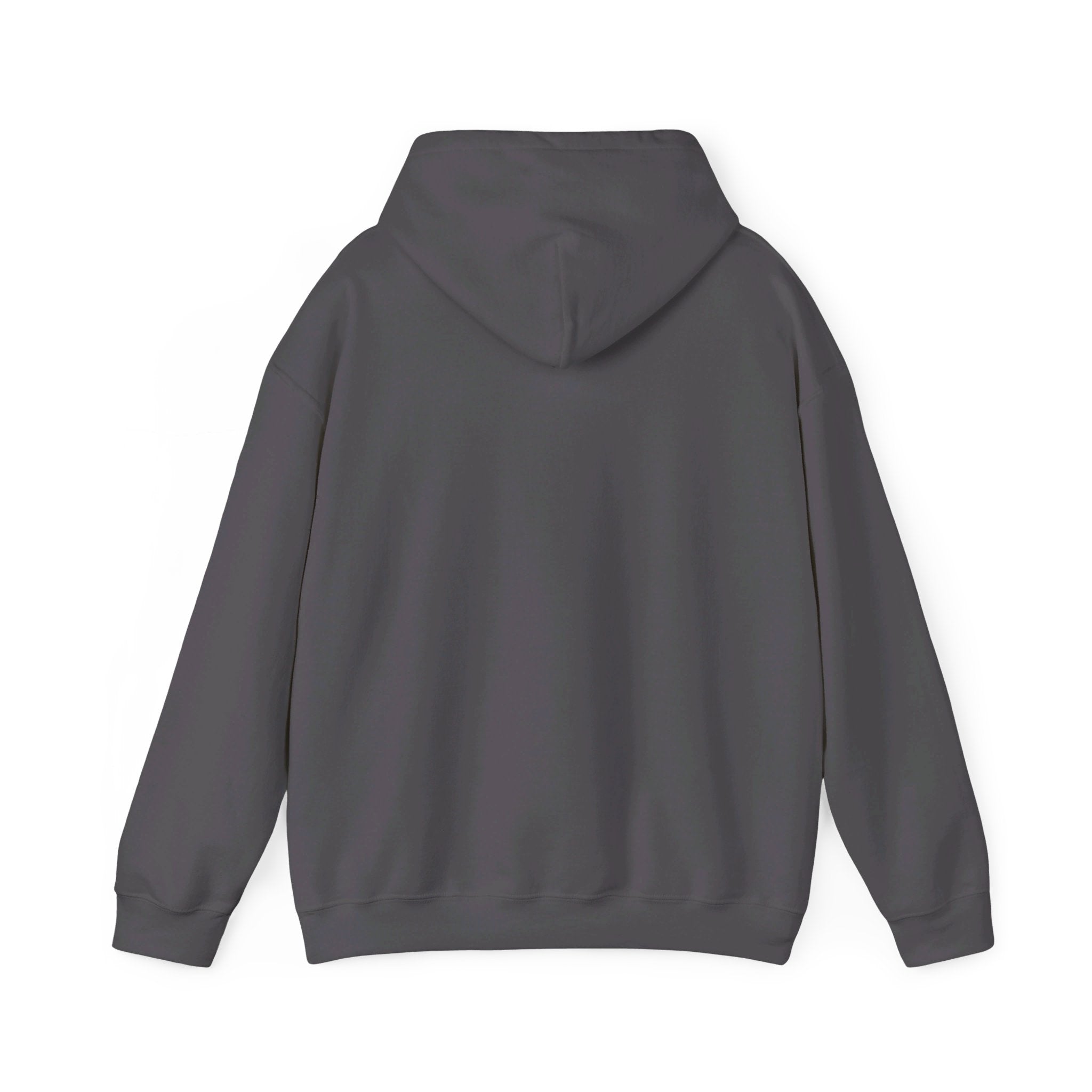 This is the Charcoal Emotionless Heavy Blend Hoodie by Lee Hansheng Studios. This is the image of the hoodie from the back with the hood down. There is no illustration but there is hemming on the waists and hoodie. The image is against a white background.