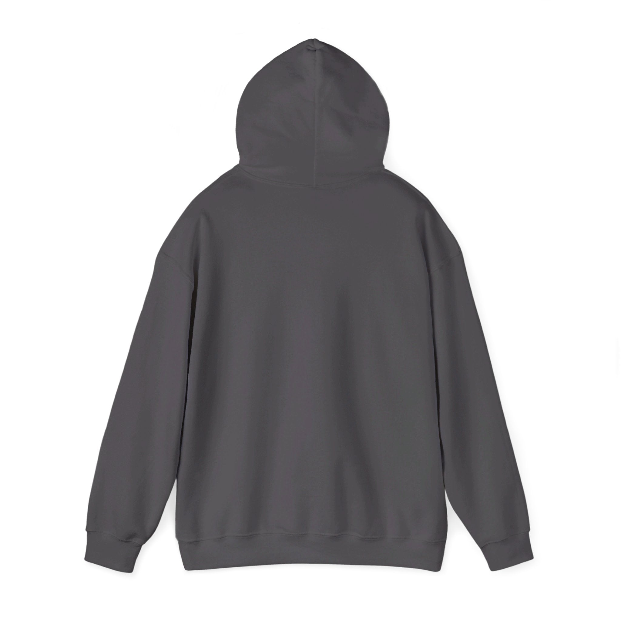 This is the Charcoal Emotionless Heavy Blend Hoodie by Lee Hansheng Studios. This is the image of the hoodie from the back with the hood up. There is no illustration but there is hemming on the waists and hoodie. The image is against a white background.