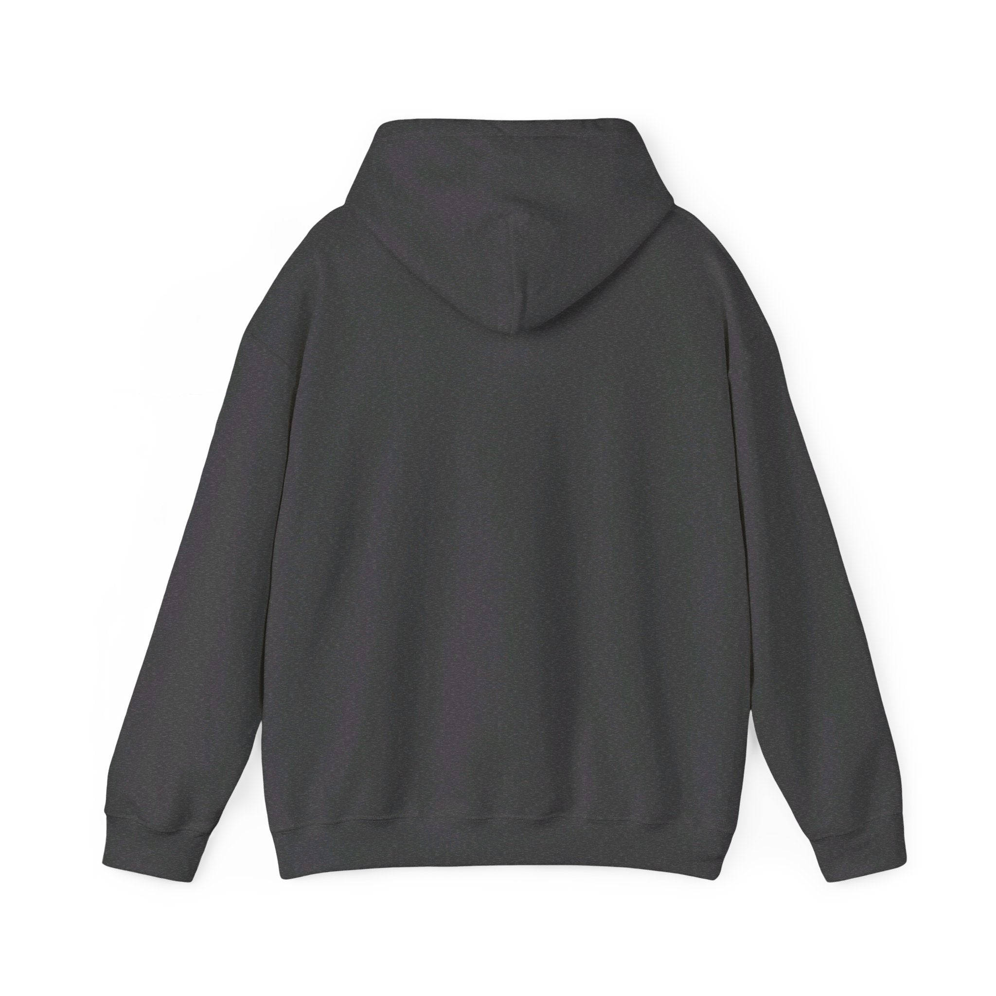 This is the Dark Heather Emotionless Heavy Blend Hoodie by Lee Hansheng Studios. This is the image of the hoodie from the back with the hood down. There is no illustration but there is hemming on the waists and hoodie. The image is against a white background.