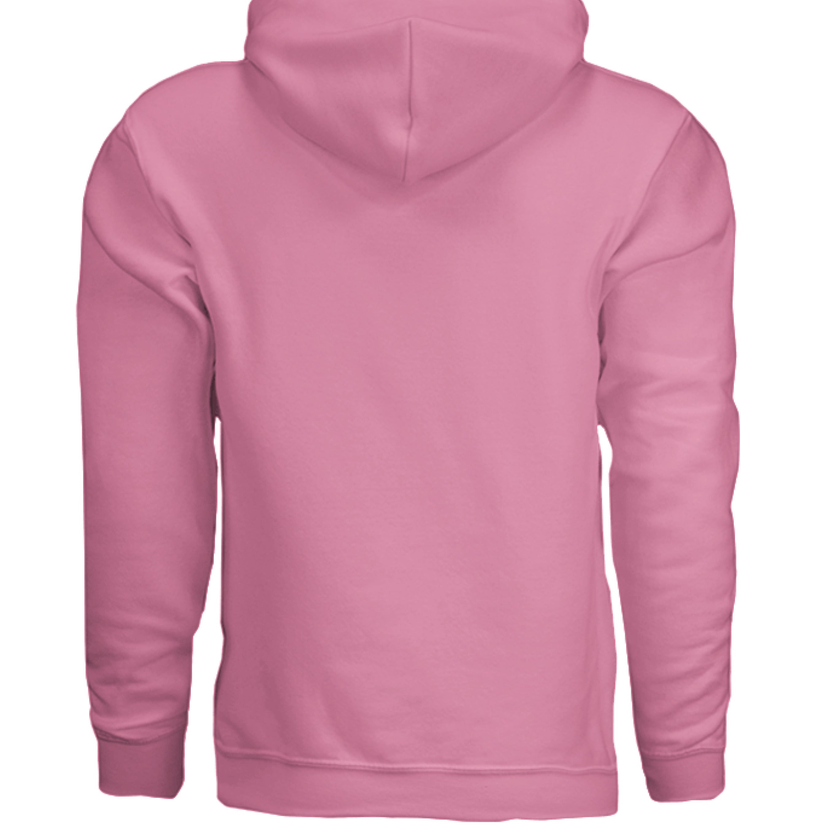 This is the Neon Pink ACI Hoodie by the Art Collective International. This is showcasing the back of the hoodie. There's no illustration and images on the back. The hoodie is against a white background.