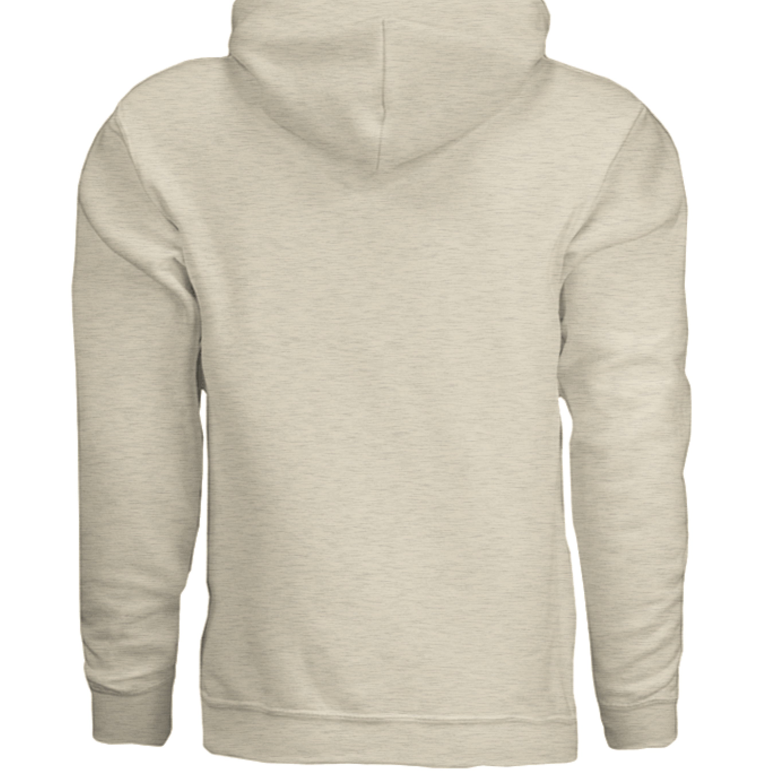 This is the Oatmeal Heather ACI Hoodie by the Art Collective International. This is showcasing the back of the hoodie. There's no illustration and images on the back. The hoodie is against a white background.