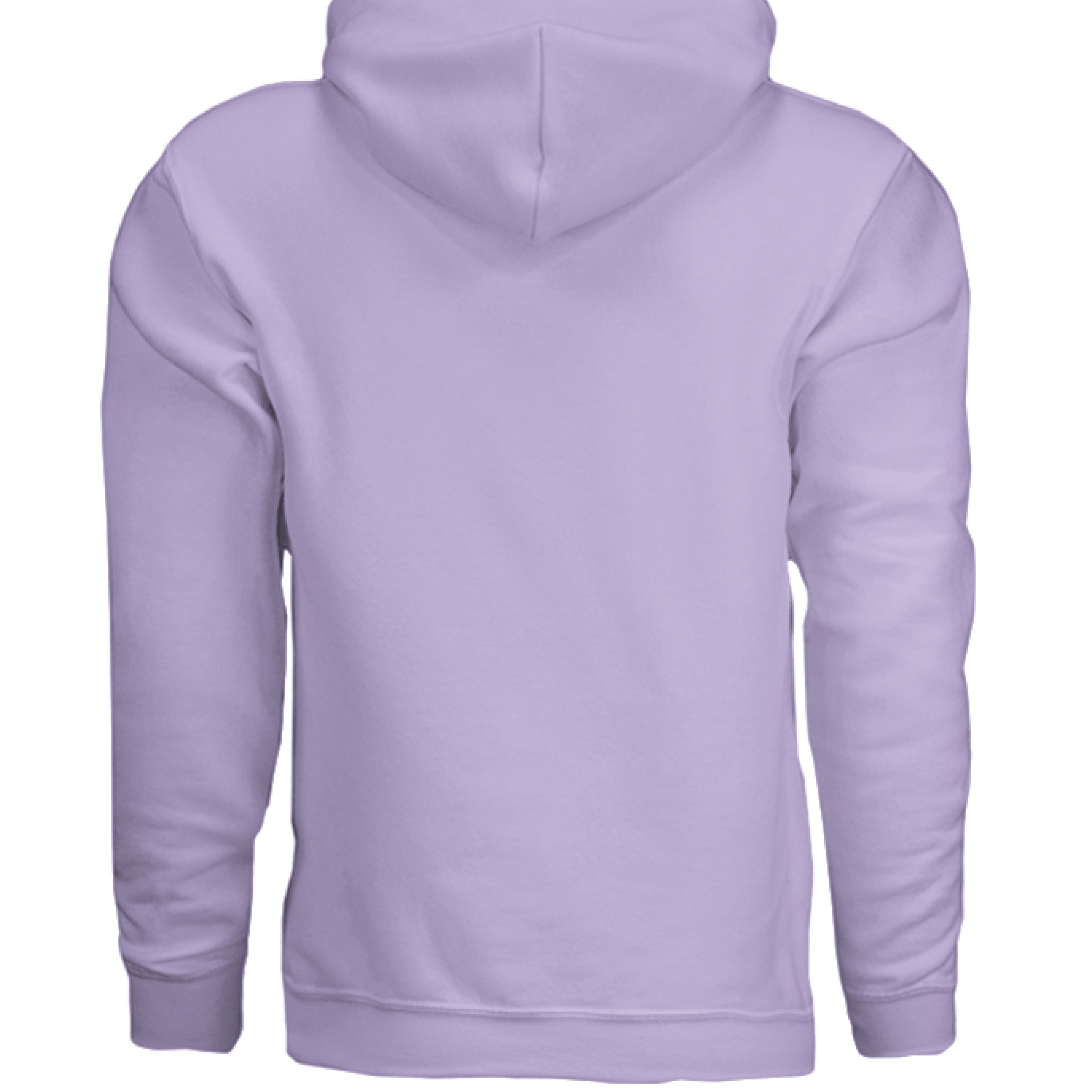 This is the Orchid ACI Hoodie by the Art Collective International. This is showcasing the back of the hoodie. There's no illustration and images on the back. The hoodie is against a white background.