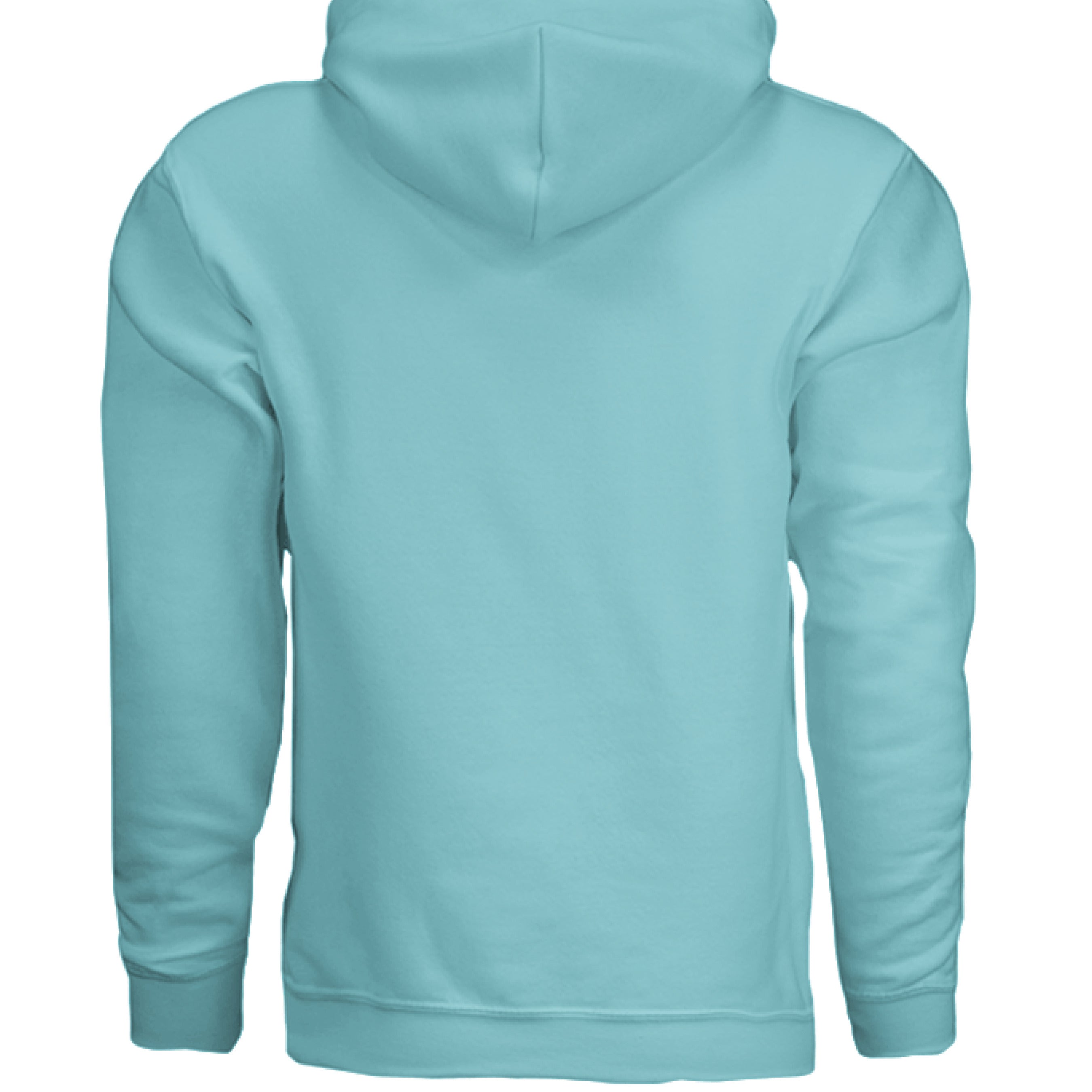 This is the Scuba Blue ACI Hoodie by the Art Collective International. This is showcasing the back of the hoodie. There's no illustration and images on the back. The hoodie is against a white background.