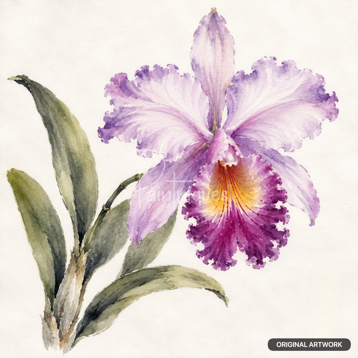 Cattleya Orchid Study Decoupage Paper