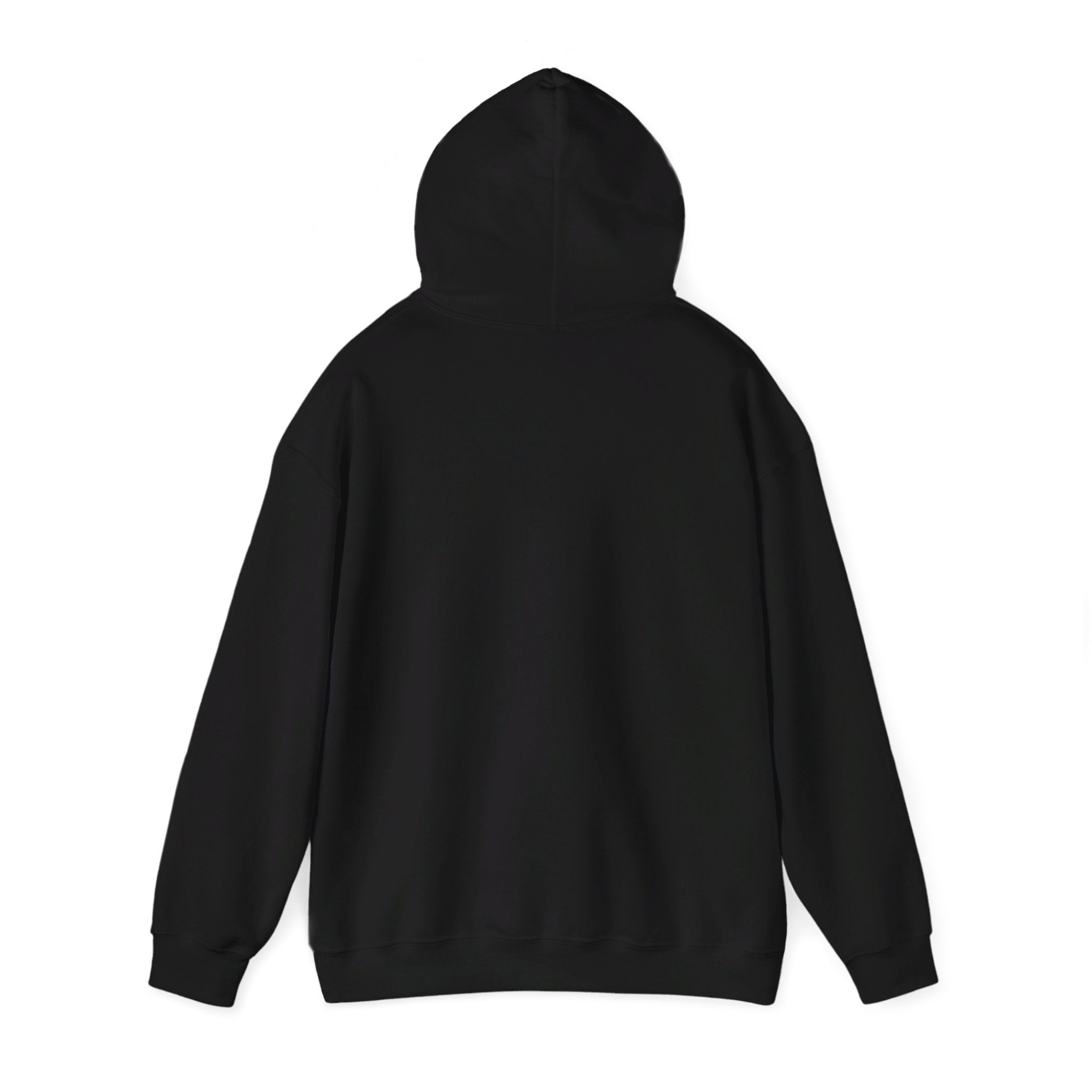 This is the Black Emotionless Heavy Blend Hoodie by Lee Hansheng Studios. This is the image of the hoodie from the back with the hood up. There is no illustration but there is hemming on the waists and hoodie. The image is against a white background.