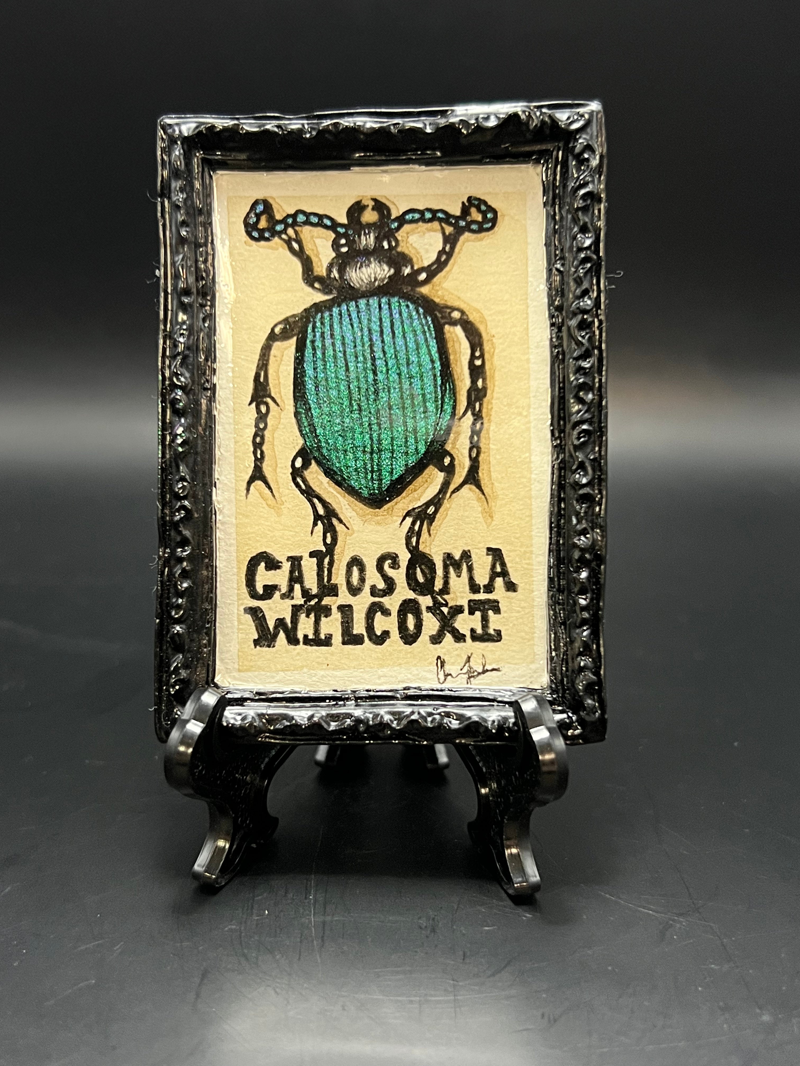 This is the handmade Calosoma Wilcoxi Beetle Miniature Painting by Chris Foster Design. This is showcasing the front. This is a decorative piece with a black rectangular frame, there is a large beetle in the center with shimmery green around it's body and the words, "CALOSOMA WILCOXI" right beneath it. It is all on a tan background. There is a magnet and against a miniature picture frame.
