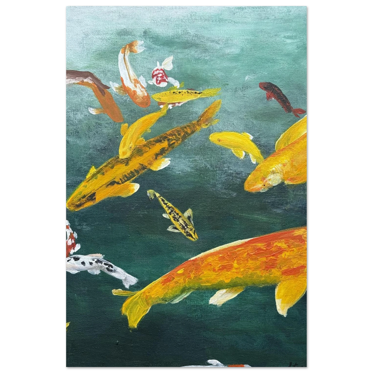 This is the 21x29.7 cm/ 8x12" Koi Semi-Gloss Poster from Storm Garden Studio. This is showcasing the front of the poster. The illustration is with 14 koi fishes with orange, white, red, yellow, green, black swimming around in a gradient water darker on the bottom then lighter to to the top. This is against a transparent background.