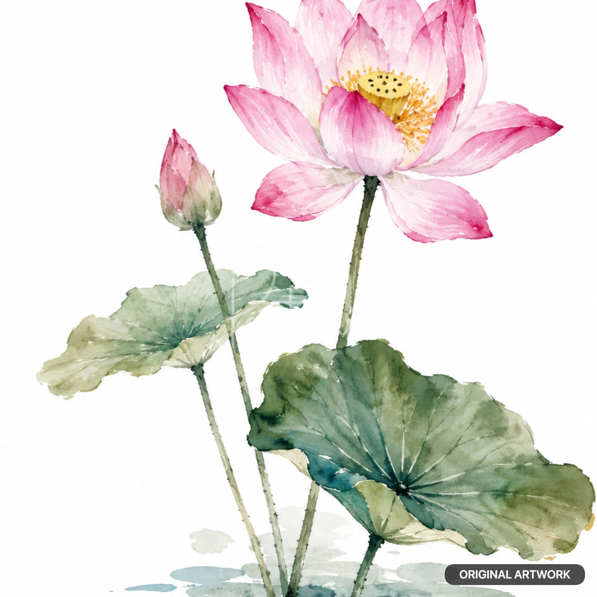 Lotus Study Decoupage Paper