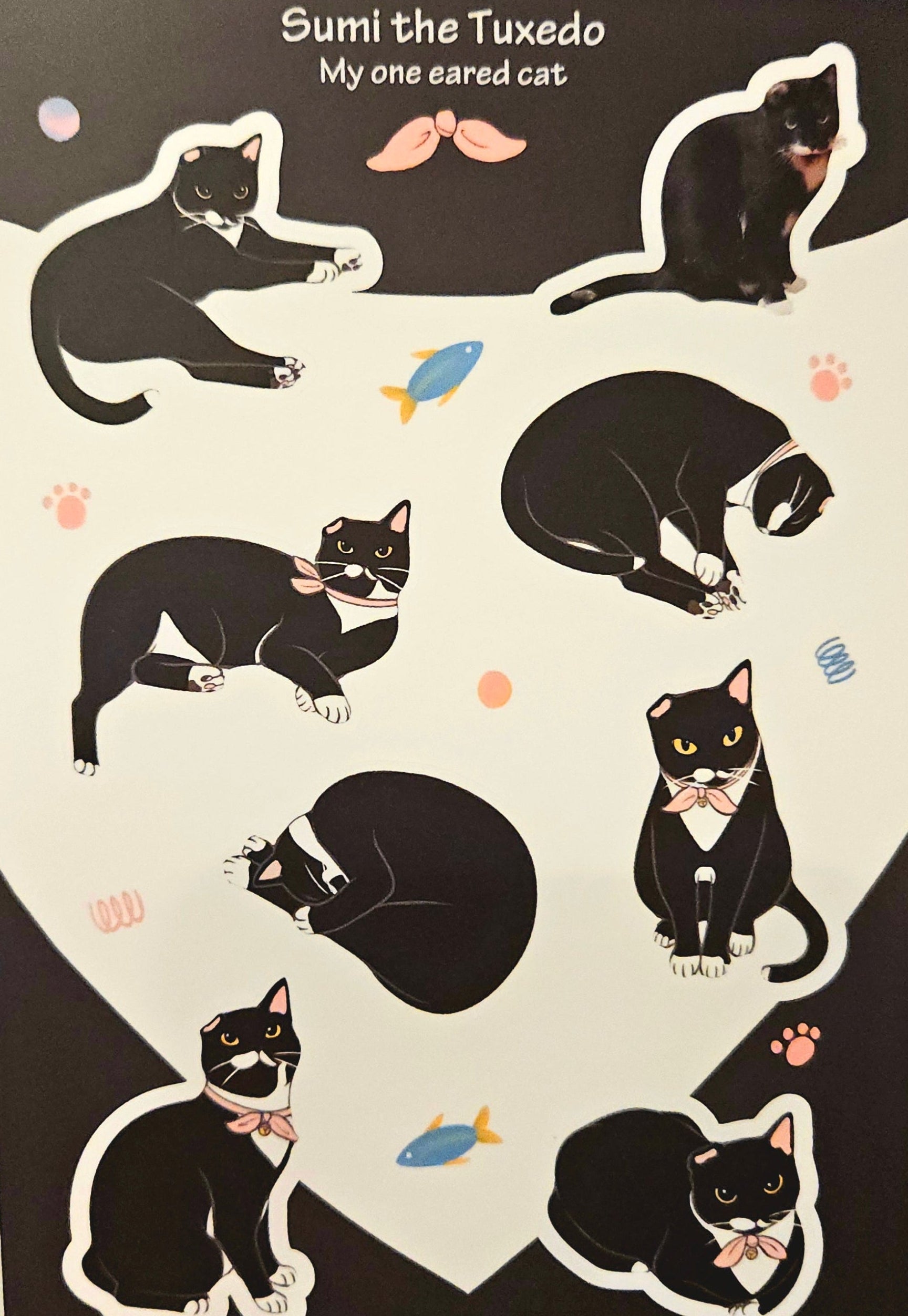 Sticker sheet with illustrations of a black cat and text 'Sumi the Tuxedo' held by a hand.